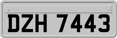 DZH7443