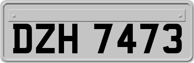 DZH7473