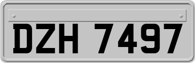 DZH7497