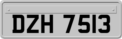 DZH7513