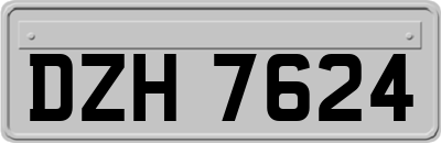 DZH7624