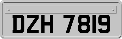 DZH7819