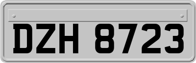 DZH8723