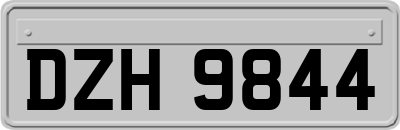 DZH9844
