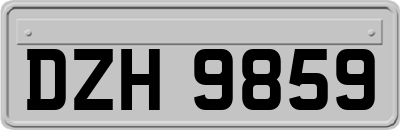 DZH9859