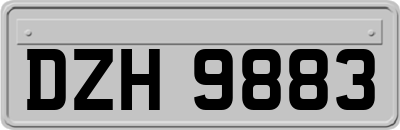 DZH9883
