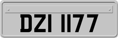 DZI1177