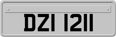 DZI1211