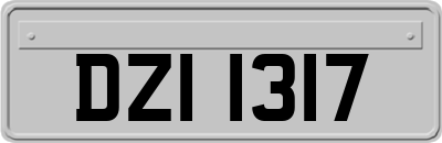 DZI1317