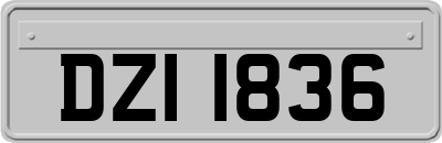 DZI1836