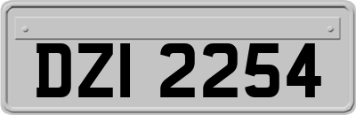DZI2254