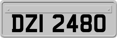 DZI2480