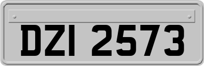 DZI2573