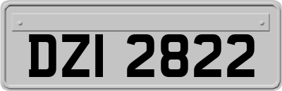 DZI2822