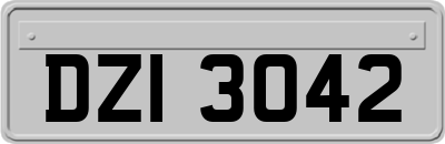 DZI3042