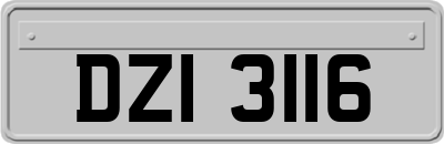 DZI3116