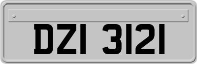 DZI3121