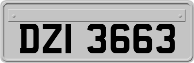 DZI3663