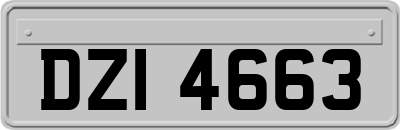 DZI4663