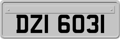 DZI6031