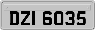 DZI6035