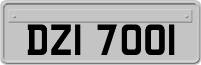 DZI7001