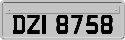 DZI8758