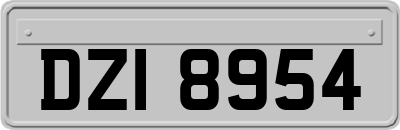 DZI8954