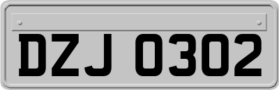 DZJ0302