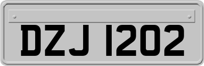 DZJ1202