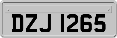 DZJ1265