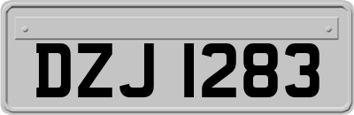 DZJ1283