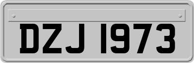 DZJ1973