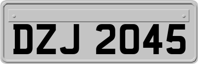 DZJ2045