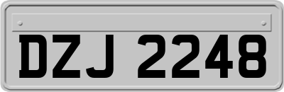 DZJ2248