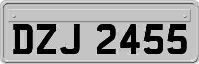 DZJ2455