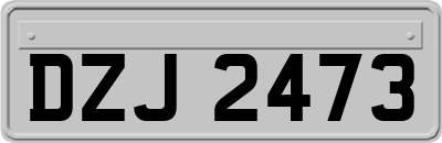 DZJ2473
