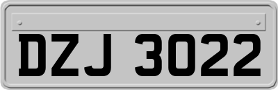 DZJ3022