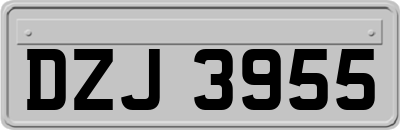 DZJ3955