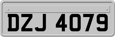 DZJ4079