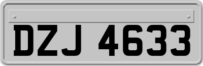 DZJ4633