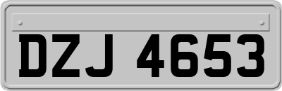 DZJ4653