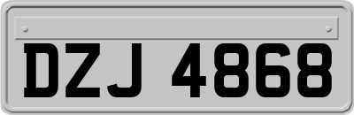 DZJ4868