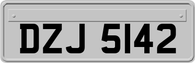 DZJ5142