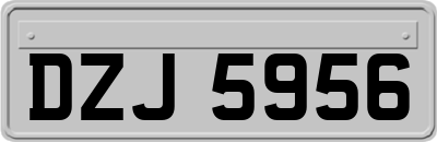 DZJ5956
