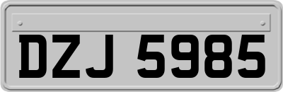 DZJ5985