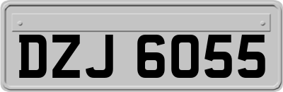 DZJ6055