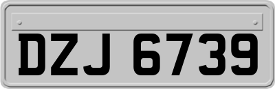 DZJ6739
