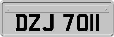 DZJ7011
