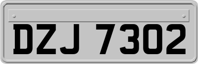 DZJ7302